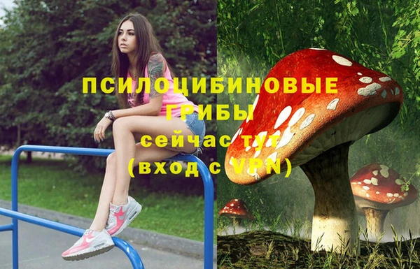 таблы Протвино