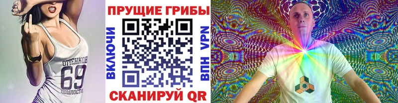 Псилоцибиновые грибы Psilocybe  Костомукша 