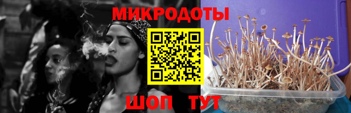 Псилоцибиновые грибы Psilocybine cubensis Костомукша